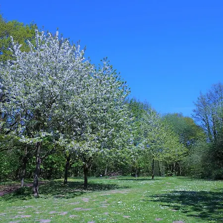 Appartamento Panoramic App A12-1