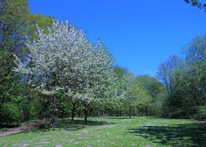 Апартаменты Panoramic App A12-1